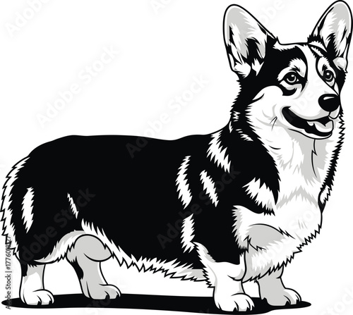 Black and white corgi vector illustration cute dog breed graphic art eps silhouette