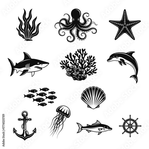 Collection of marine life and nautical elements