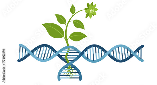 Discover the power of genetic engineering with this vibrant illustration of a flower growing from a DNA strand, perfect for science and technology projects