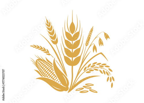Spike wheat or barley vector graphic, featuring an ear and grain, cereal corn, rye, and rice crop, symbolizing agriculture, along with an oat plant. A golden organic illustration.