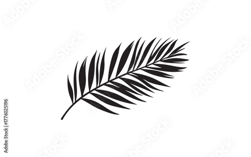 Palm Leaf Silhouette Vector – Tropical Botanical Nature Illustration Design