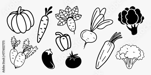 Illustration of various vegetables including pumpkin carrot and broccoli in black and white outline