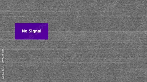 Glitch static white and black noise animated with No Signal text. VHS Glitch. Bad TV signal ,tv screen noise. Abstract noise technology animation.