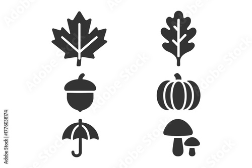 Autumn leaf, acorn, umbrella, pumpkin, mushroom icons.