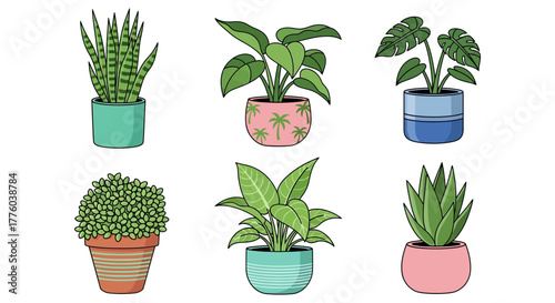Indoor plants potted plant illustration houseplant collection art editable stock
