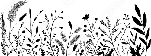 Black silhouette of various wild plants and flowers