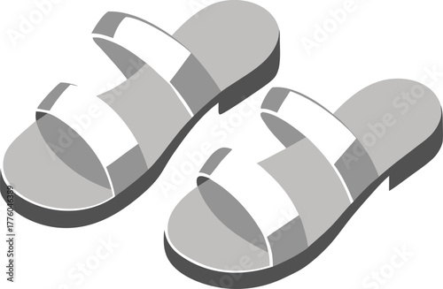 flip flops vector
