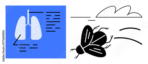 Medical diagram of lungs with labeled parts paired with black and white flying insect. Ideal for respiratory studies, human anatomy, biology, flight dynamics, insect anatomy, health science, simple