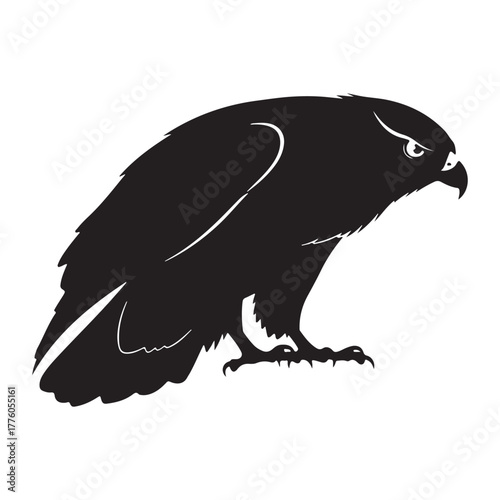Silhouette of a perched bird of prey colouring page