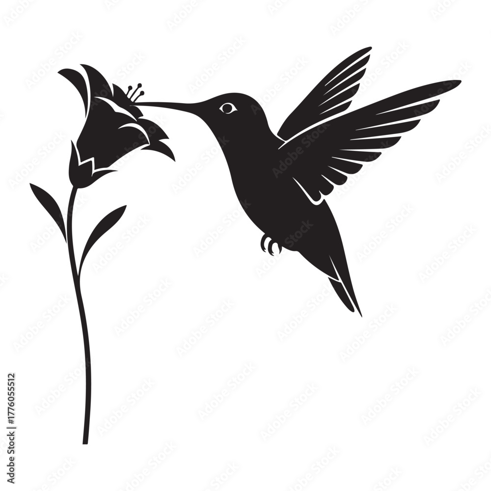 Obraz premium Hummingbird feeding on a flower silhouette colouring page