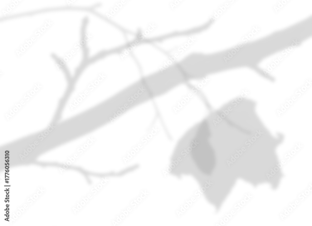 Obraz premium Tree Shadow with Falling Leaves Overlay