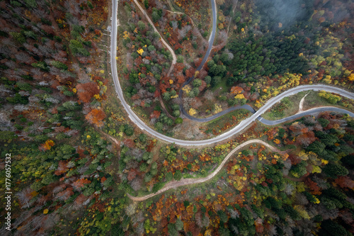 vue aérienne d'un enchevêtrement de chemin et de voie de chemin de fer dans une forêt automnale