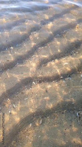 See-through tide water above sandy bottom in bright sunlight, in vertical orientation for mobile