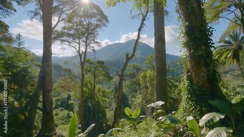 view of a dense tropical rainforest located within a prominent mountain
