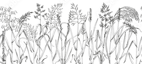 Wild grasses sketched seamless border