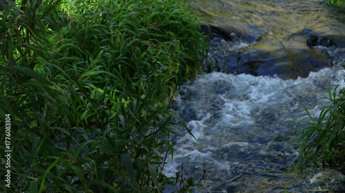 Pristine Clear Water Stream Flowing Through Mountain Landscape – 4K