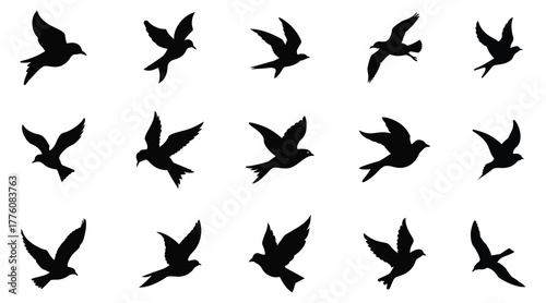 Flying birds silhouette vector set. Seagull figures in the sky, isolated on white background
