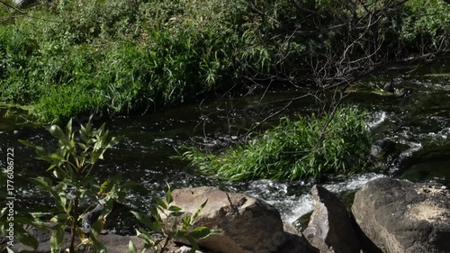 Pristine Clear Water Stream Flowing Through Mountain Landscape – 4K