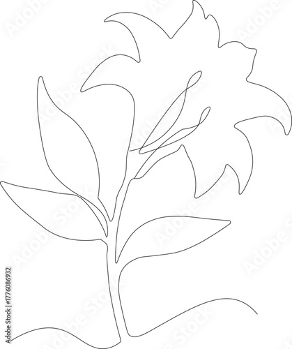 Poppy flower with leaves in continuous line art drawing style.  Minimalist black linear design isolated on white background. Vector illustration