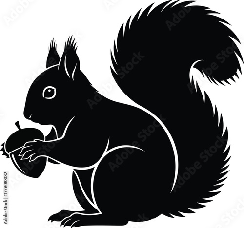 Black squirrel holding acorn detailed silhouette with fluffy tail for nature and wildlife projects isolated on transparent background