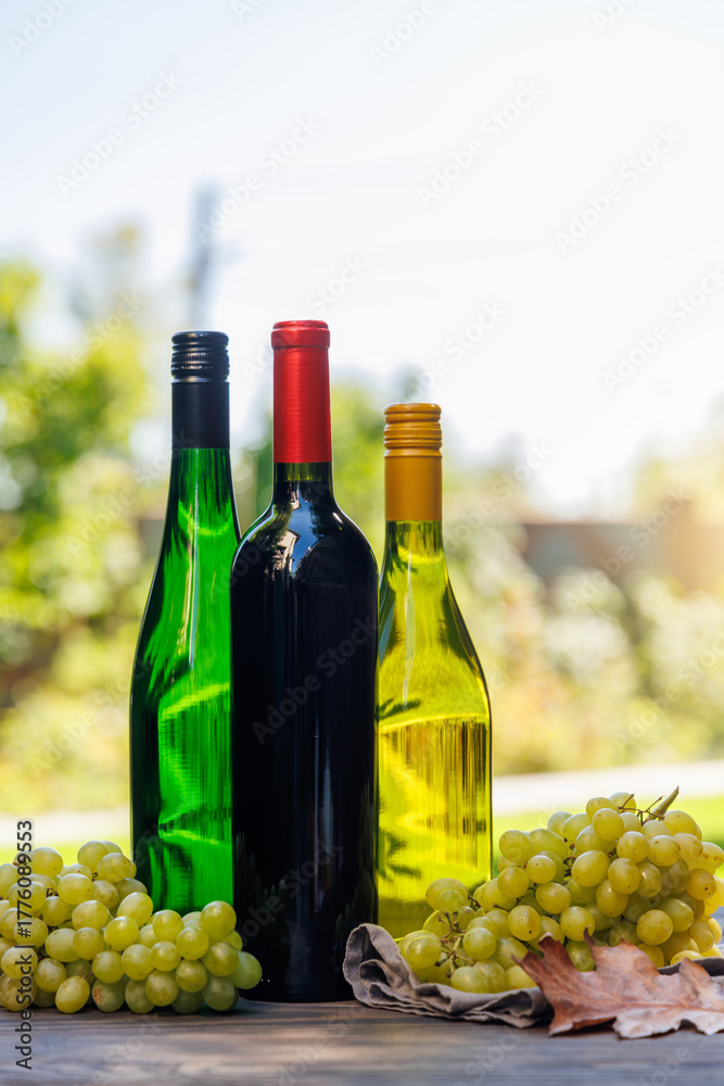 Fototapeta premium Wine bottles with grapes on a wooden table, glowing with sunny bokeh in the background