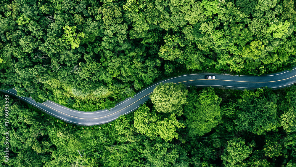 Fototapeta premium Road in the middle of the forest , road curve construction up to mountain, Rainforest ecosystem and healthy environment concept