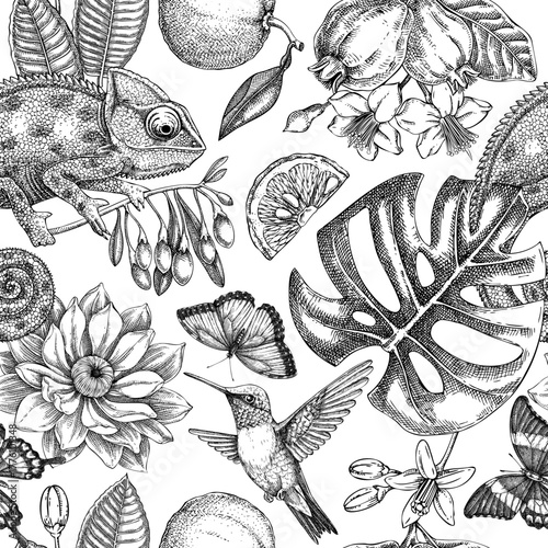 Tropical pattern seamless design. Exotic flowers, birds, animals hand drawn vector illustration. Vintage floral background. NOT AI generated