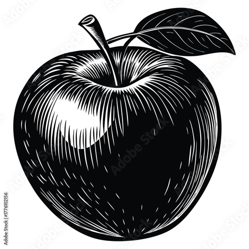 Vászonkép Vintage Apple Illustration in Engraving Style – Black and White Fruit Vector,Vin