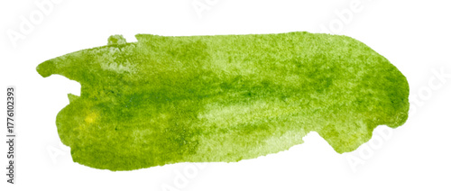 Brush line. Vector green paint brush spot, highlighter line or felt-tip pen marker. Ink smudge abstract shape stains with texture