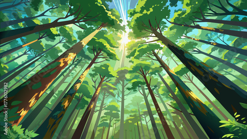 Looking up at the tall green trees with sunlight streaming through the leaves, creating a dreamy forest canopy full of light, depth, and calm natural beauty, detailed vector illustration