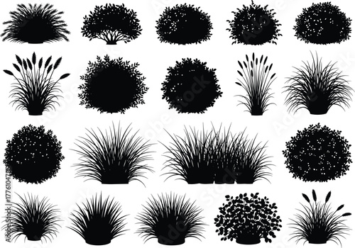 Black silhouette ornamental bushes and grasses collection, garden foliage vector set, landscaping plant shapes, decorative shrub design elements, isolated illustration