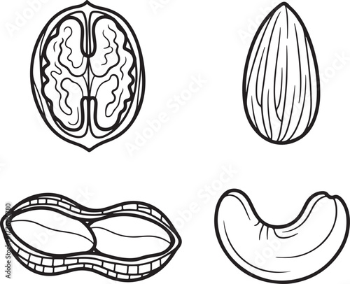 Assorted Nuts and Seeds Icons walnut almond