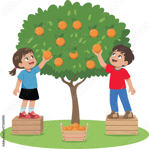 Children harvesting oranges, teamwork in orchard, fruit picking activity, healthy lifestyle, nature learning, outdoor fun, ripe citrus, seasonal farming, cheerful kids