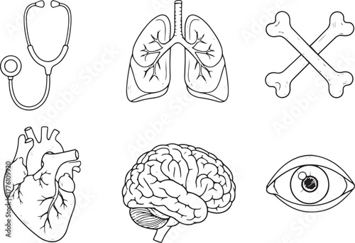 Human Anatomy Icons Stethoscope Lungs Heart Brain Eye Bones body organ