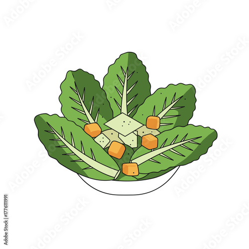Vibrant Caesar Salad Illustration with Croutons and Romaine Lettuce