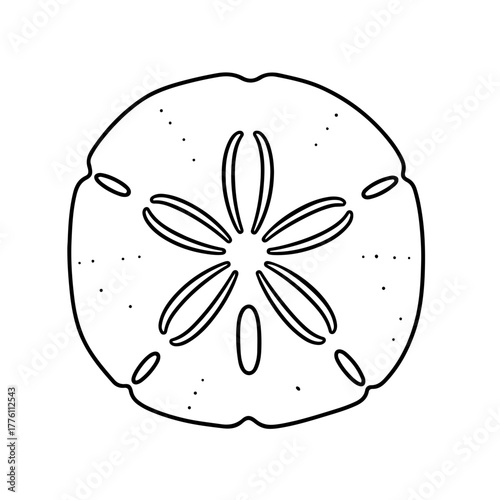 Line Art Illustration of a Sand Dollar with Intricate Detail