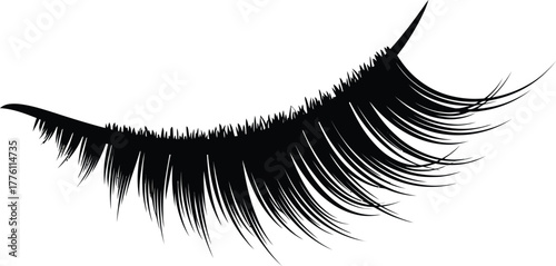 Luxurious black false eyelashes accentuating beauty and glamour for makeup enhancement isolated on transparent background