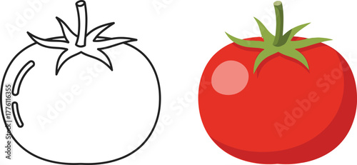 Ripe red tomato and outline drawing comparison fresh produce and simple sketch isolated on transparent background