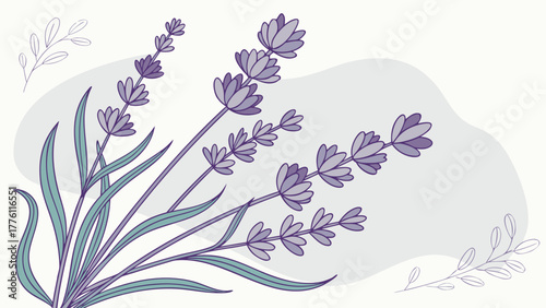 Delicate lavender sprigs artfully arranged with subtle organic shapes evoking natural beauty and serene elegance for design projects