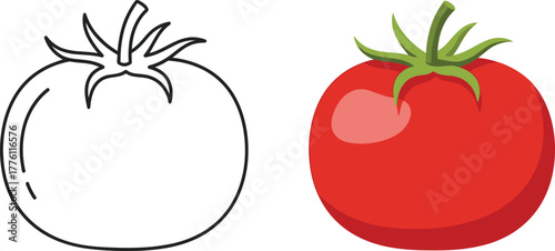 Ripe red tomato and sketch outline vegetable food ingredient freshness healthy eating isolated on transparent background