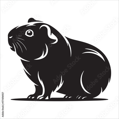 guinea pig silhouette vector illustration on white background