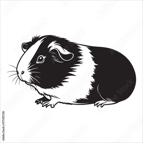 guinea pig silhouette vector illustration on white background