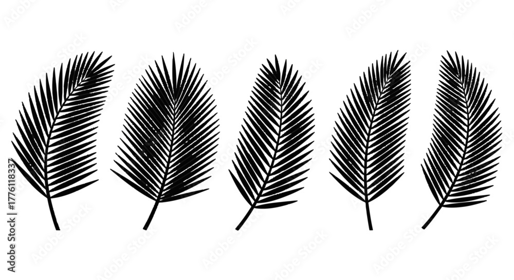 Fototapeta premium A set of five black palm fronds are arranged in a row against a plain white surface, creating a.