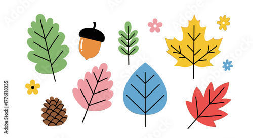 Colorful autumn leaves, acorn, and pinecone are arranged in a cheerful and playful pattern.