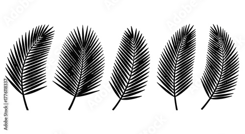 A set of five black palm fronds are arranged in a row against a plain white surface, creating a.