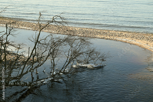 Fototapeta Naklejka Na Ścianę i Meble -  View of the Baltic Sea coast.