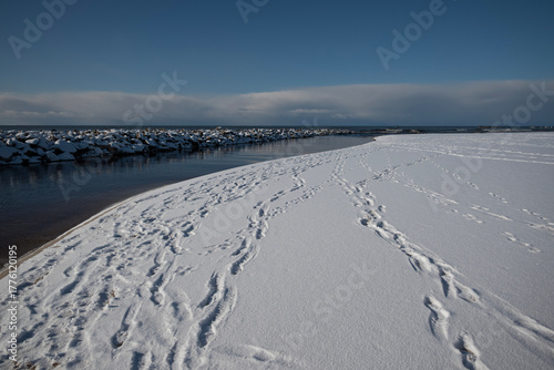 Fototapeta Naklejka Na Ścianę i Meble -  Winter coast of the Baltic Sea.