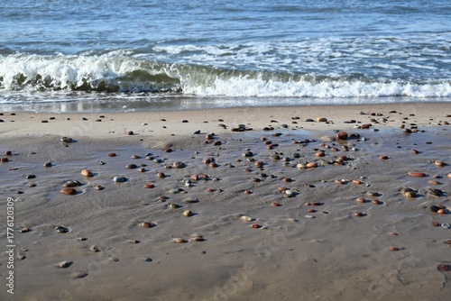 Fototapeta Naklejka Na Ścianę i Meble -  Coast of the Baltic sea.