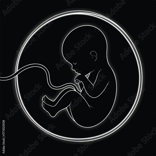 Outline of fetus in womb, umbilical cord, dark background, light