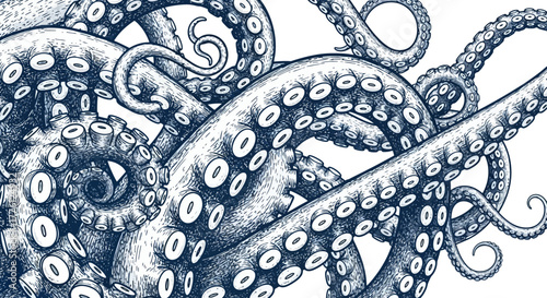 Detailed illustration of octopus tentacles with suckers, creating an intricate and captivating design.